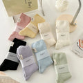 Everyday Rib Crew Socks — 3-Pair Pack